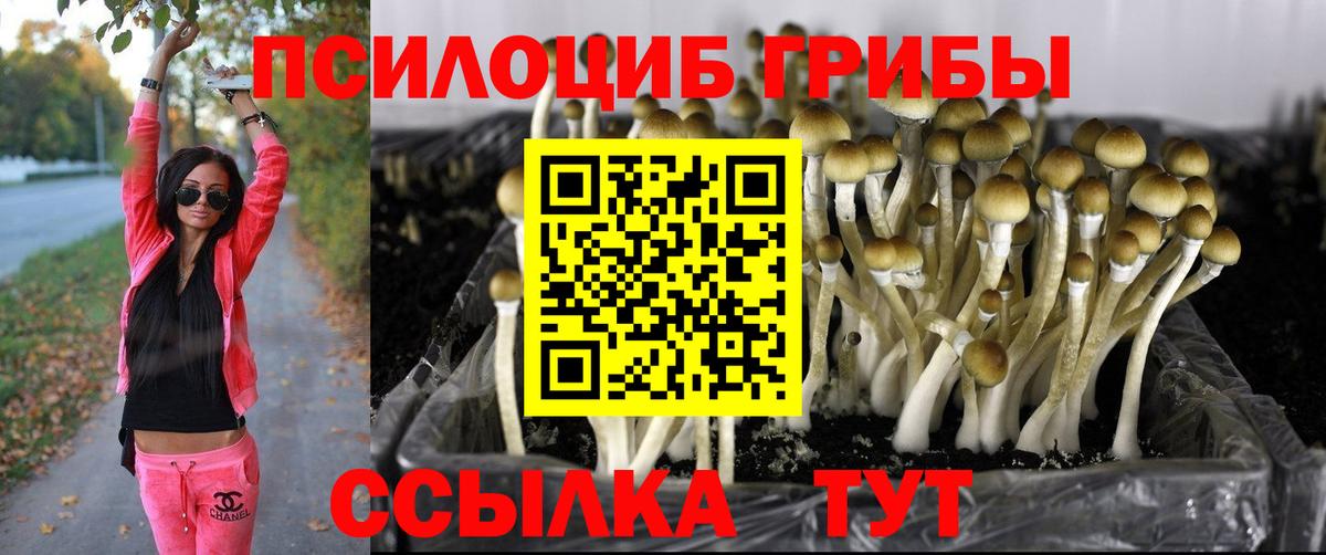 Галлюциногенные грибы мухоморы Куйбышев