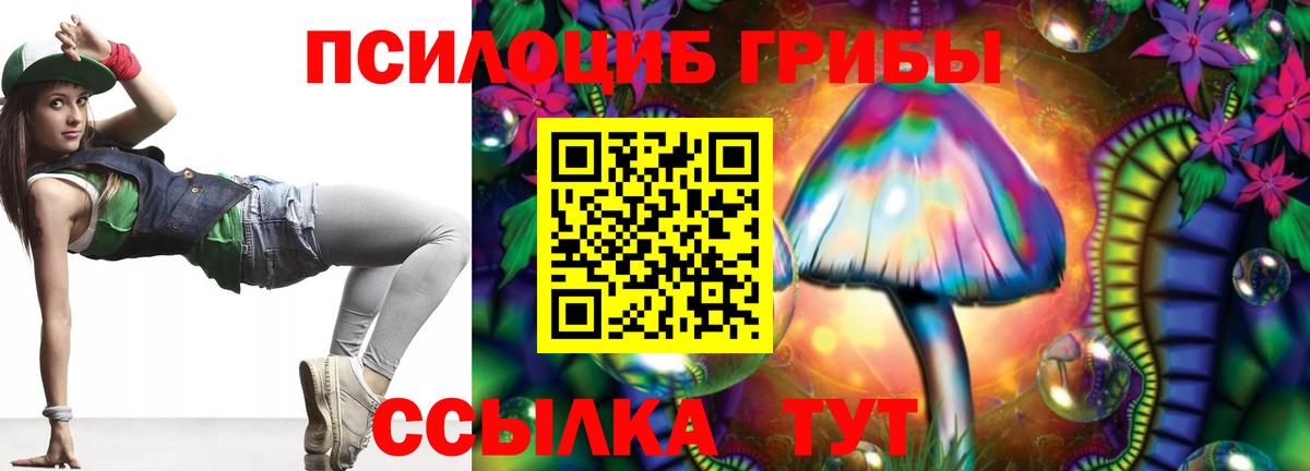 Псилоцибиновые грибы GOLDEN TEACHER  Вход с VPN  Куйбышев 